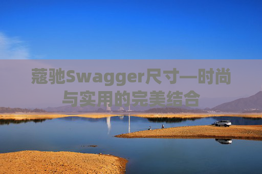 蔻驰Swagger尺寸—时尚与实用的完美结合