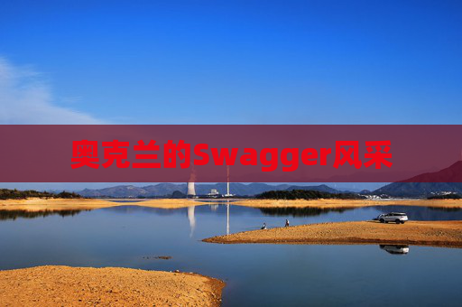 奥克兰的Swagger风采